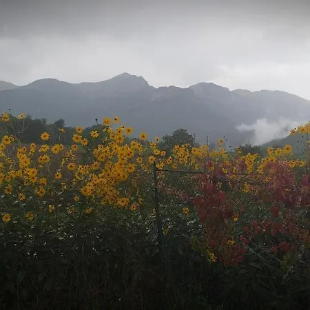 Otel Fonte La Castellana 2*