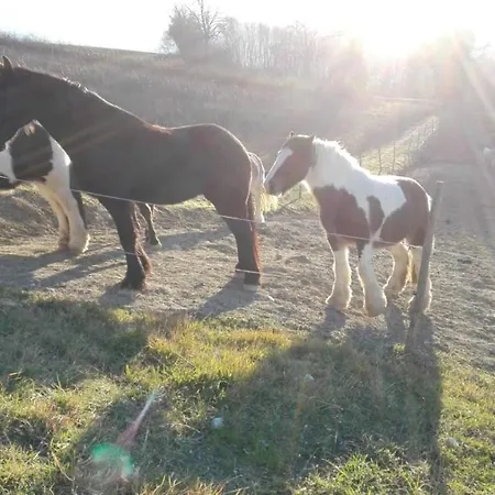 Fonte La Castellana Hotel