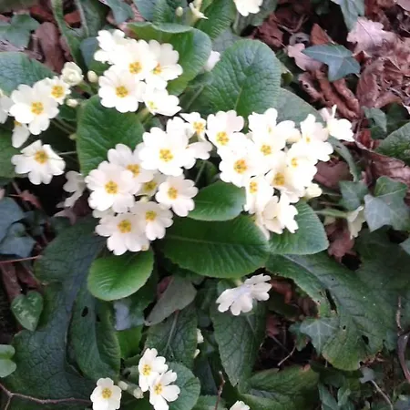 Hotel Fonte La Castellana Sarnano