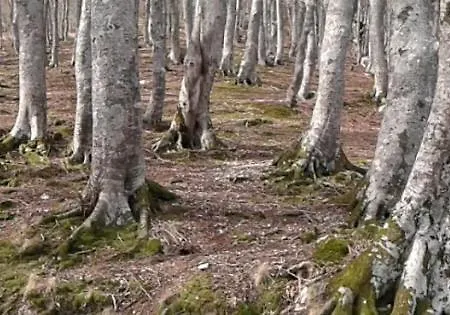 Fonte La Castellana 2* Sarnano