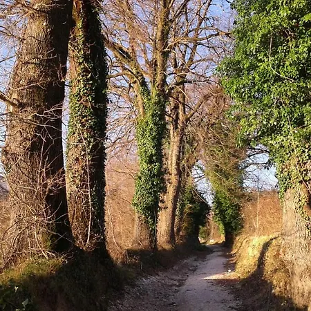 Fonte La Castellana 2*