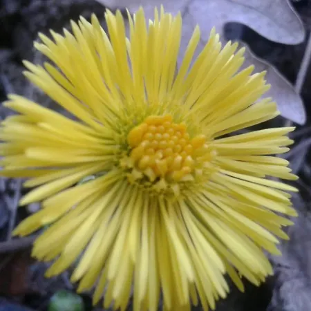 Hotel Fonte La Castellana 2*